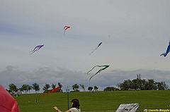 Venice kite festival_0201